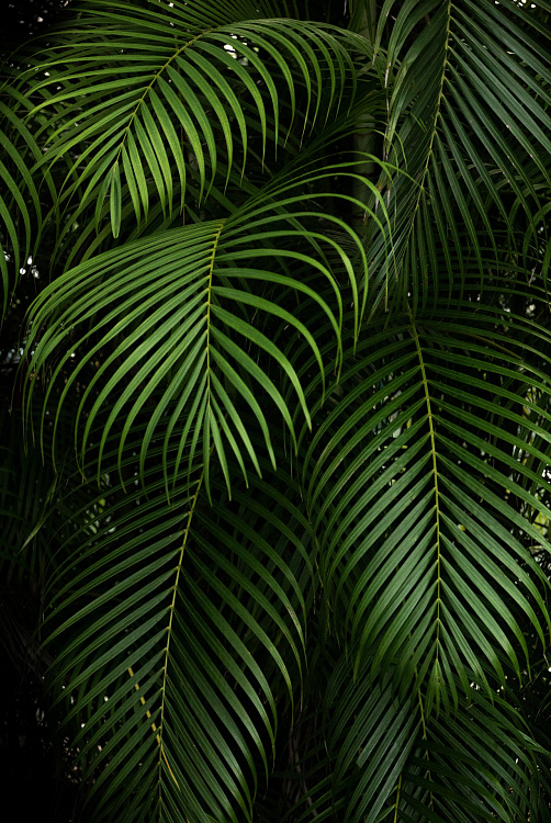 Фотообои 47d9600b03