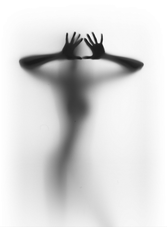 Фотообои 42888661