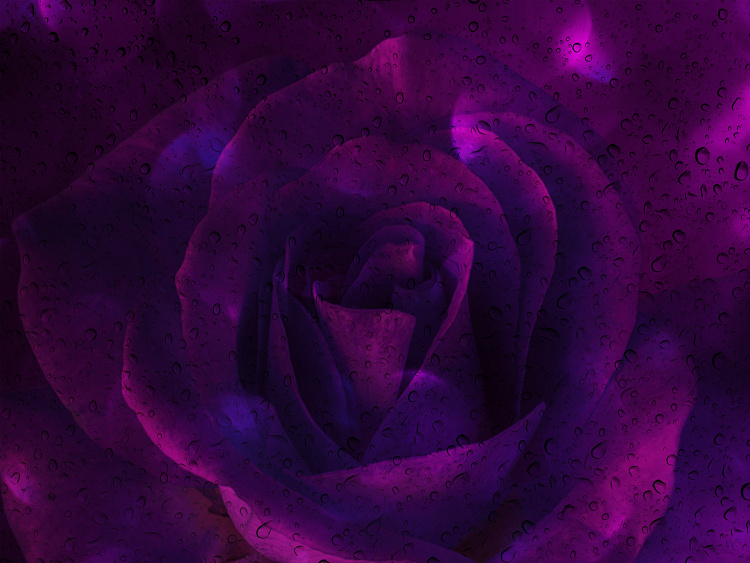 Фотообои 102716326